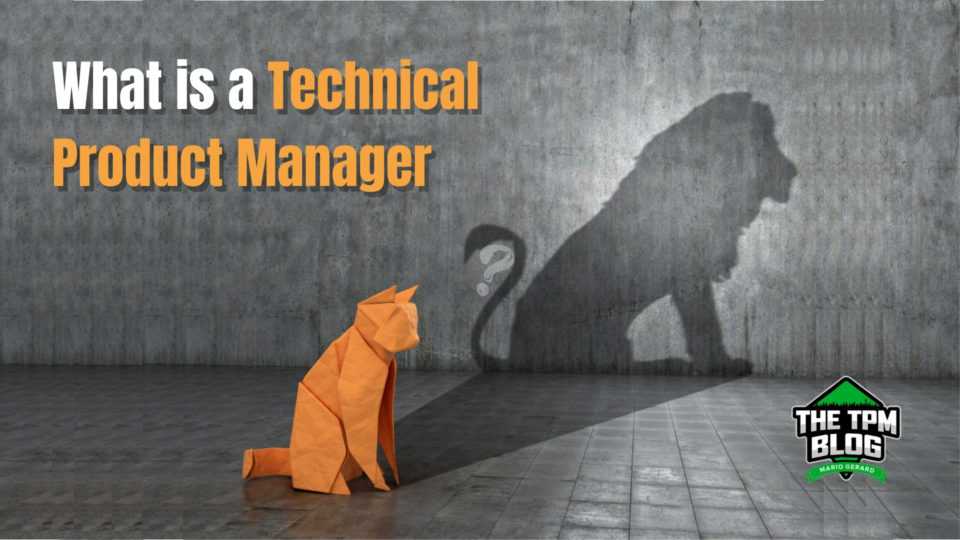 Role Of A Technical Product Manager 